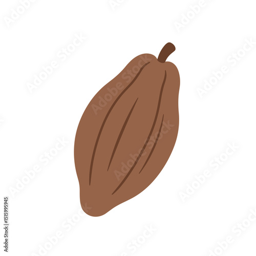 Cocoa Bean Illustration