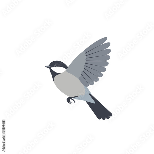 A small bird with outstretched wings perched on a branch against a plain background