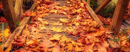 Obraz  z motywem Wooden bridge with leaves, autumn banner
