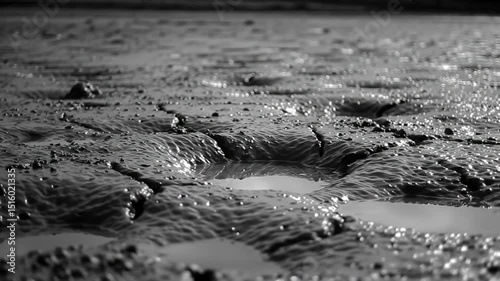 Monochrome Mudflats: An Earthy And Textural Background Presentation