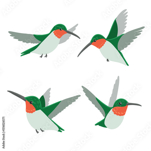 vector drawing birds, ruby-throated hummingbirds , hand drawn Archilochus colubris, isolated nature design elements