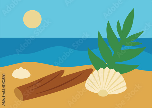 sea shells on the beach