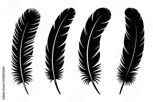 Black feather illustration set vector graphic art
