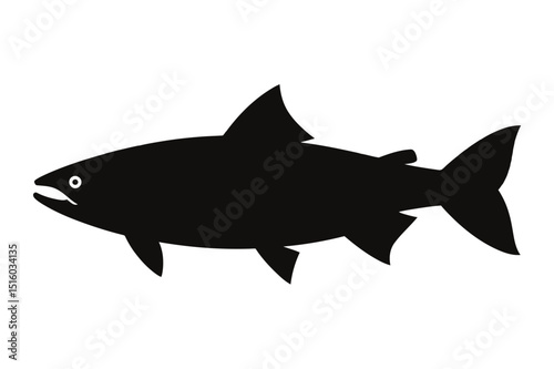 shark vector illustration