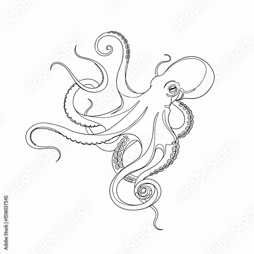 Octopus: A detailed pen and ink illustration of a single octopus, capturing the flowing form and intricate details of the creature.