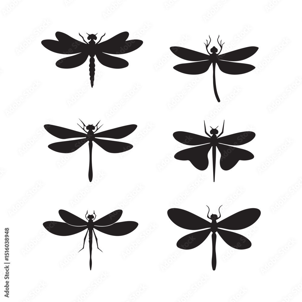 Obraz premium Flying graphic dragonfly. Texture, high detail, Isolate on white background