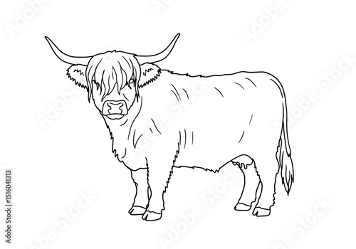 Highland cow drawing. It is a detailed black and white outline sketch of a Highland cow with its distinctive shaggy coat and long horns. Vector sketch line art draw.