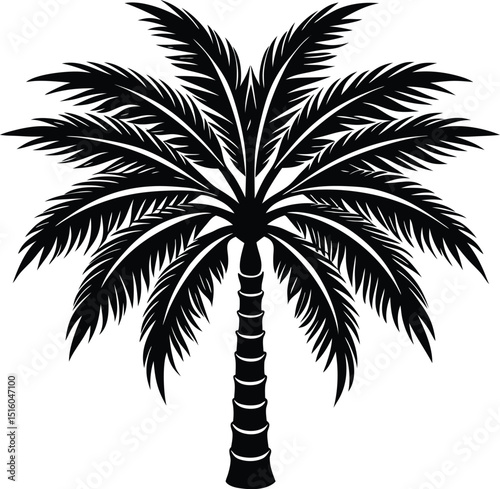 silhouette of palm tree isolated white background
