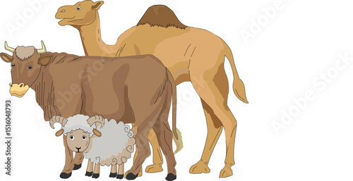 camel, cow and sheep/goat for design in commemoration of Eid al Adha holiday