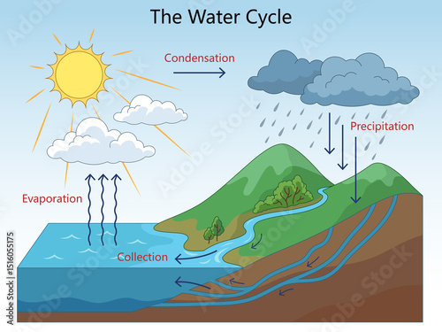 Educational illustration showing the water cycle with labeled stages evaporation, condensation, precipitation, and collection hand drawn schematic raster illustration. Science educational illustration