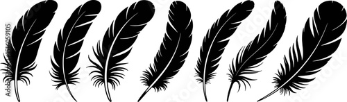 Eight black silhouettes of bird feathers isolated