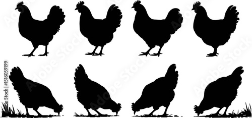 Eight silhouettes of chickens farm animals poultry