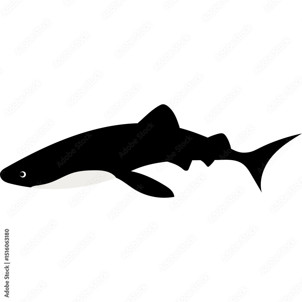 Sea Animal Illustration