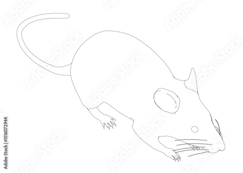 A mouse is shown in a black and white drawing. The mouse is laying on its side, with its head and front paws visible. Concept of simplicity and minimalism, as the focus is on the basic form