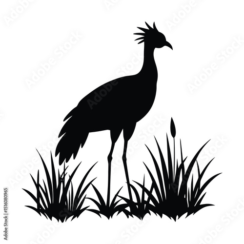 Secretarybird Grass Vector Silhouette