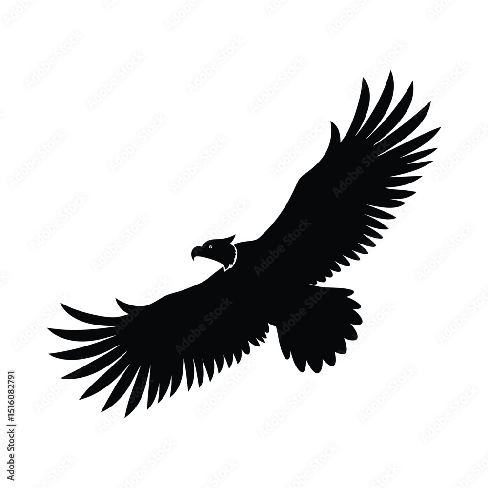 Obraz premium Vulture Flight Vector Silhouette