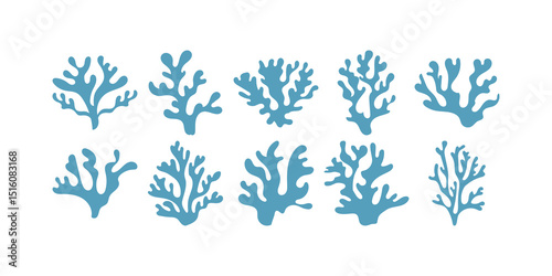 Flat Coral Reef