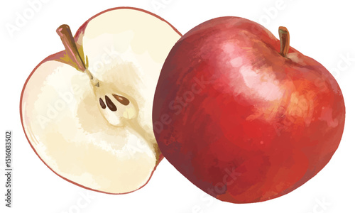 水彩風で描いた　リアルタッチのりんご　apple