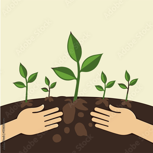 Hands planting green seedlings in dark soil with light background  