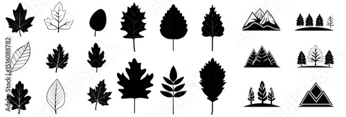 An assortment of fall leaves from oak, maple, and chestnut trees, featuring simple yellow, red, and orange hues, suitable for use in patterns, banners, stickers, and Hello autumn cards, depicted in a