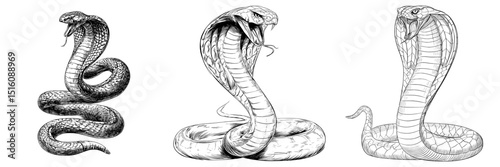 A coiled cobra with its hood flared is depicted in a classic artistic style, featuring intricate line work in a sketch engraving created with generative AI, presented as a modern illustration in the