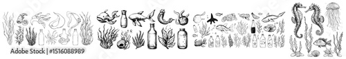 A hand-drawn graphic illustration in black and white line art featuring a seahorse, jellyfish with shells, starfish, seaweed, corals, sea sponges, fish, pebbles, and a glass bottle as individual