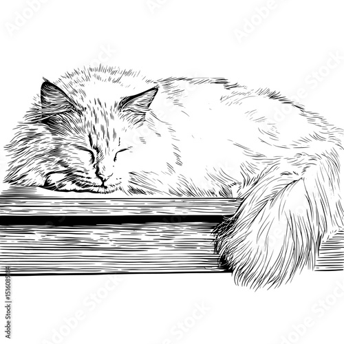 A serene feline artwork featuring an adorable fluffy cat resting peacefully on wooden furniture in a detailed black and white sketch with relaxed atmosphere