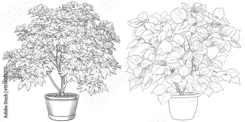 A potted plant depicted in a modern black and white pencil ink sketch with an engraving style