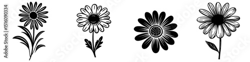The illustration features a hand-drawn, cute floral doodle of a rose, lily, daisy, and leaf, symbolizing a romantic garden or park, particularly during the spring season, and is often associated with
