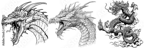 A monochrome side-view head of a roaring dragon in a minimalist modern black ink drawing on a transparent background, symbolizing a wild dragon in a state of madness