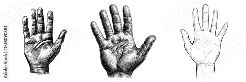 Detailed illustration of a high five hand gesture in black and white outline line art