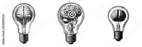 A sketch of a brain inside a bulb lamp is rendered in black and white outline as a scratch board imitation engraving