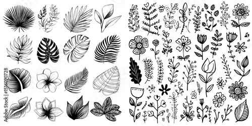Monochrome style is used to showcase natural elements through a variety of hand-drawn botanical and geometric designs