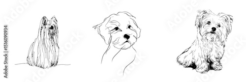 A minimalist illustration of a Maltese breed dog is depicted in a continuous one-line drawing on a white background, showcasing a simple and modern graphic style that is hand-drawn