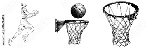 A detailed outline line art drawing depicts a basketball going through a hoop in black and white