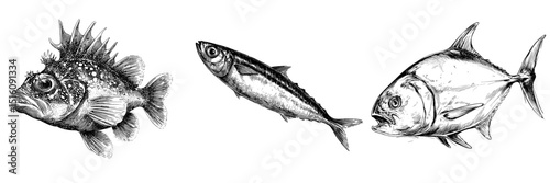 An intricate black and white drawing of a fish rendered in a sketchy style