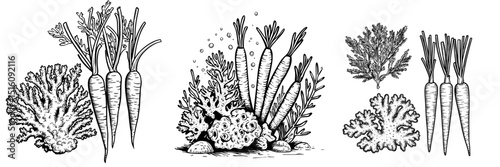 A modern illustration of a coral reef flat, featuring a black and white sea tube sponge and rock, is available for coloring, showcasing hand-drawn monochrome underwater nature