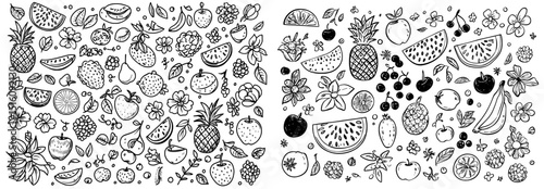 Doodle depicts an assortment of fruit collection in outline form, showcasing cute tropical garden fruits and berries in an abstract black and white healthy food sketch illustration