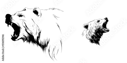 A modern art piece showcasing a grizzly bear in a growling pose, rendered in minimalist strokes and isolated on a transparent background in black and white
