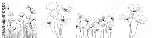 A modern illustration set of poppies in line art is isolated on a white background, featuring a flower sketched in black ink with a minimalist hand-drawn design