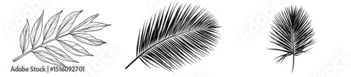 Modern hand-drawn art features exotic tropical leaves, paired with intricately engraved ink designs of botanical leaves