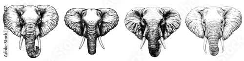 The image depicts an African elephant in a sketch style, presented through modern digital graphics