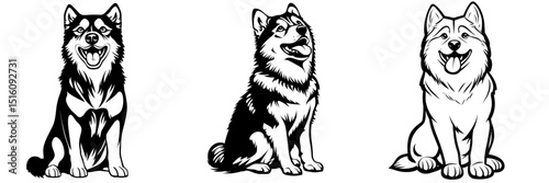 A realistic pencil drawing of a Finnish Lapphund dog is depicted in a modern line art illustration featuring the dog's face in black and white, showcasing the breed as a pet