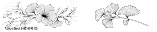 The black outline of a large flower is presented on a white background, perfect for coloring and generating various designs, patterns, covers, cards, and presentations