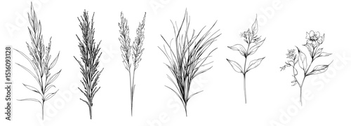 A collection of hand-drawn botanical flowers, branches, and leaves in a trendy line art style, featuring wild and garden plants on a white background
