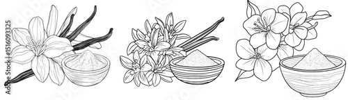 A hand-drawn modern illustration featuring vanilla, mortar and pestle, flowers, and retro wooden utensils in a white and black color scheme, with linear drawings of herbs for alternative medicine or