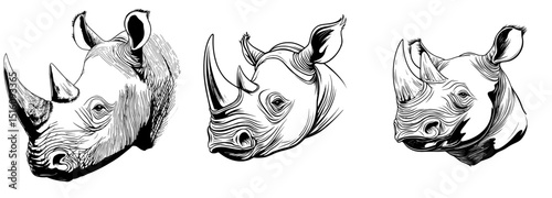 A set of illustrations featuring a rhinoceros in a vintage engraving style, isolated with an African background and a silhouette of the rhino in black and white, created as a hand-drawn modern image