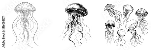 Hand drawn design elements and sea jellyfish come together in a modern jellyfish sketch