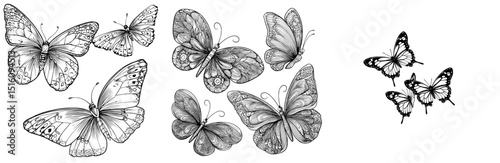 A modern isolated drawing of three butterflies flying and fluttering is depicted in colorless black and white contour lines for easy drawing