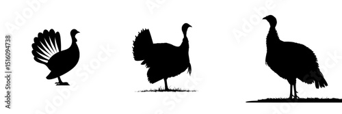 The logo features a contemporary turkey silhouette depicted in black and white